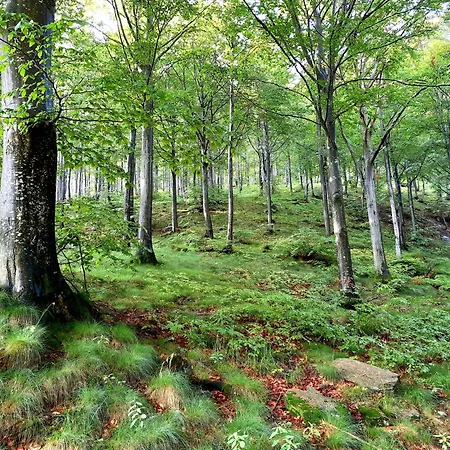 Il Glomere - Di Rora