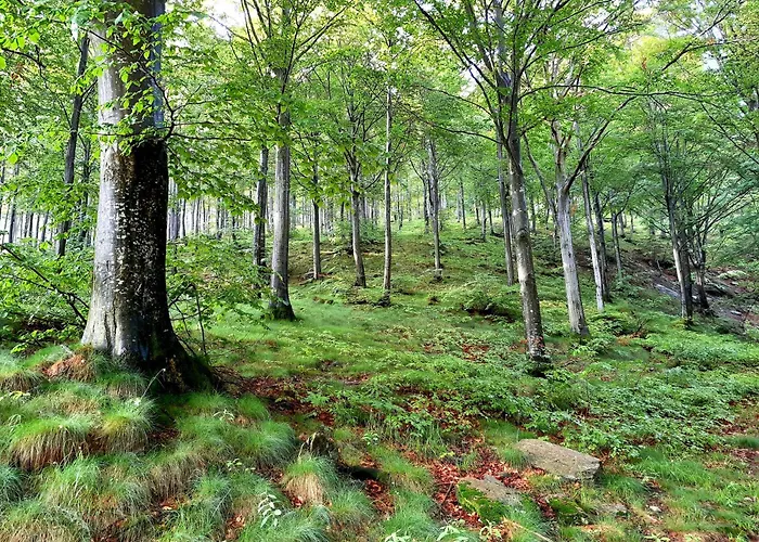 Il Glomere - Di Rora